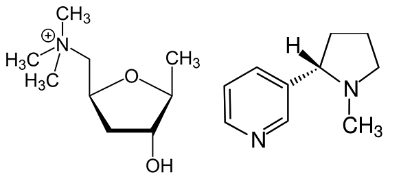 Placeholder Picture